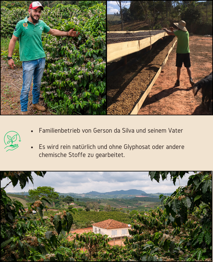 Entdecken Sie unseren 100% Arabica Spezialitätenkaffee aus Brasilien - Petunia. In unserer Rösterei in Oberererlbach, nahe Nürnberg in Mittelfranken, wird dieser Kaffee von dem umweltbewussten Erzeuger, Gerson da Silva, sorgsam veredelt. 