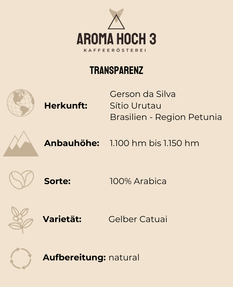 Entdecken Sie unseren 100% Arabica Spezialitätenkaffee aus Brasilien - Petunia. In unserer Rösterei in Oberererlbach, nahe Nürnberg in Mittelfranken, wird dieser Kaffee von dem umweltbewussten Erzeuger, Gerson da Silva, sorgsam veredelt. 